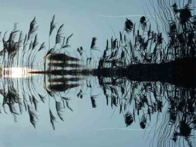 Home Water Conservation: Save the Earth and Save Money Image